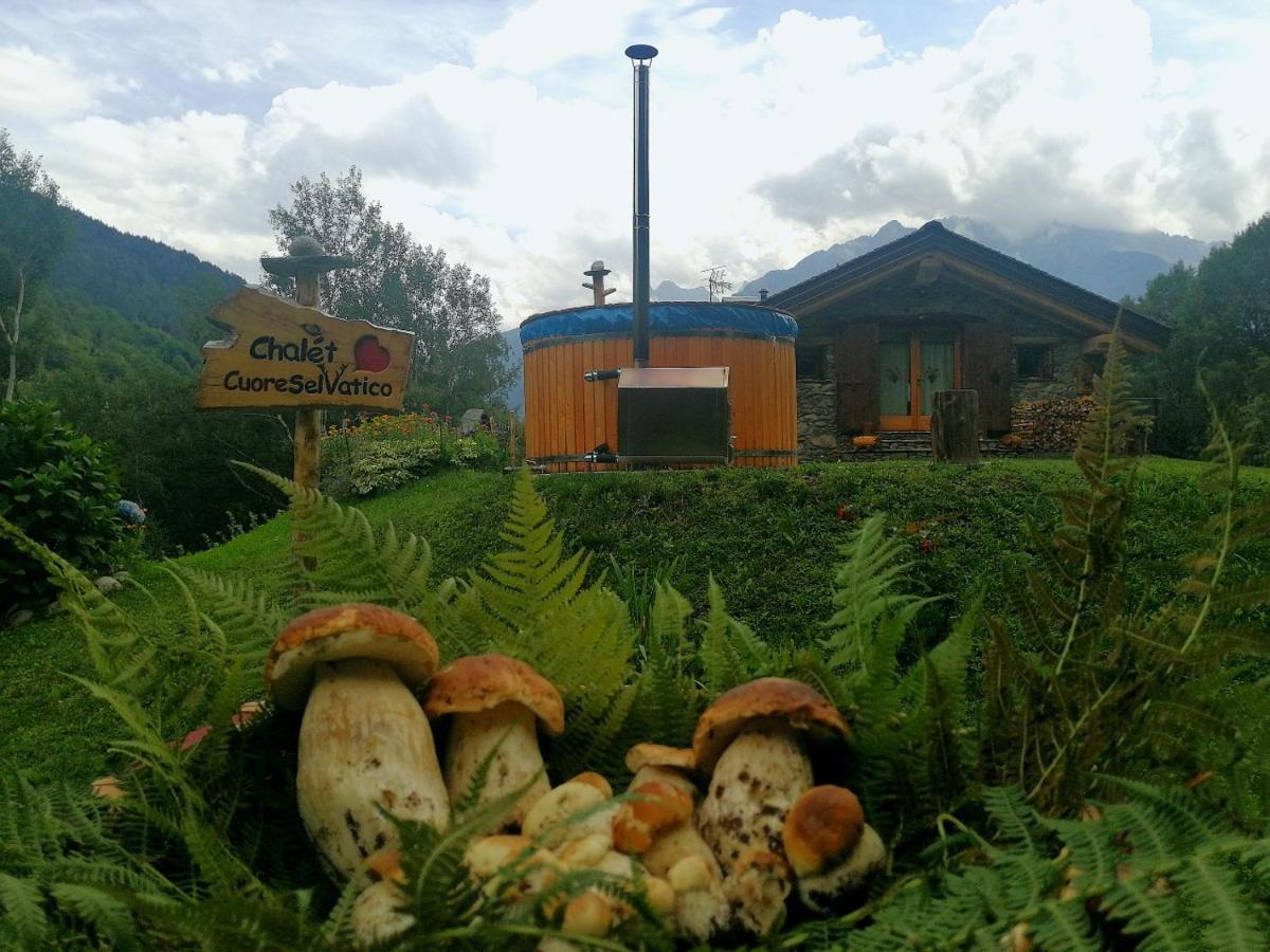 Chalet Cuore Selvatico Monno Exteriér fotografie